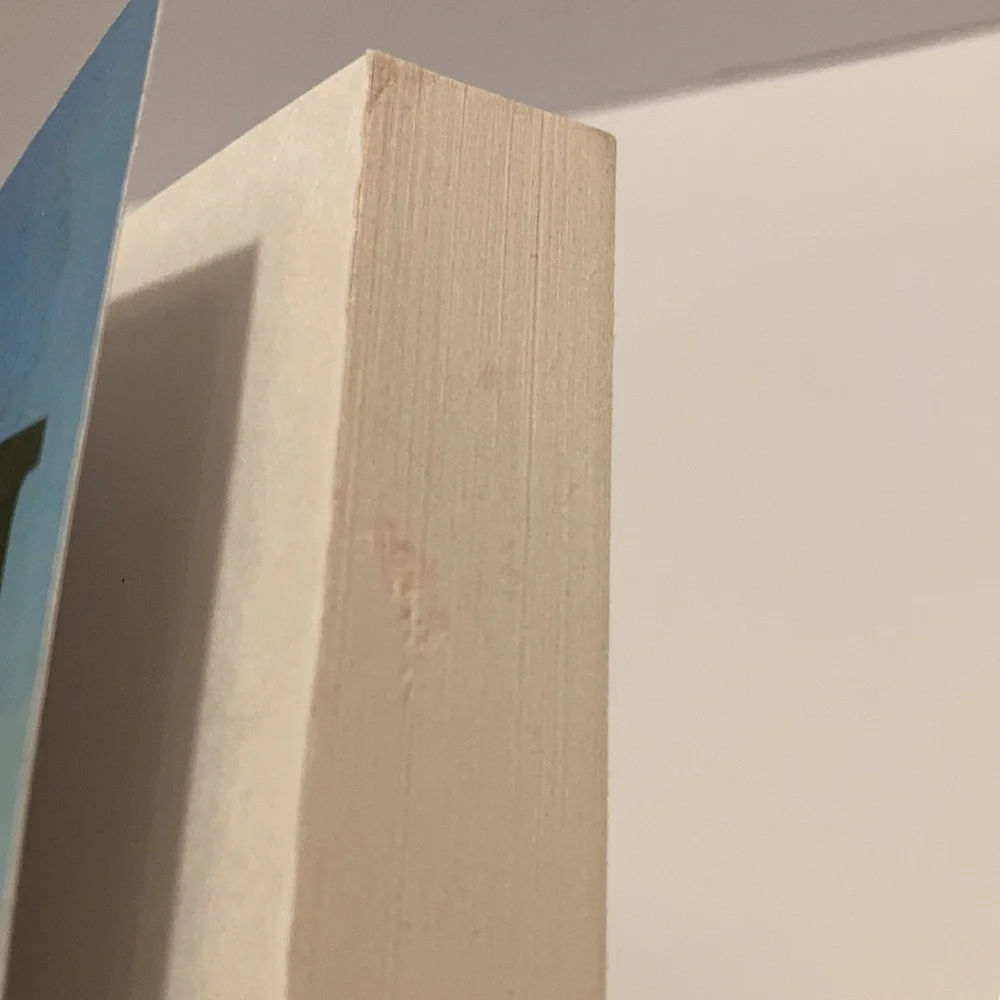 🛍️"Downtown" Novel by Ferrol Sams - Picture 4 of 4